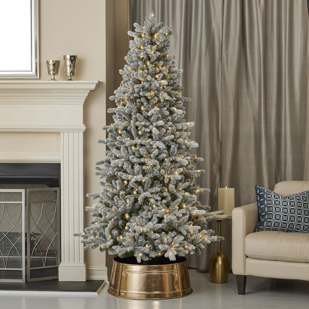 6 foot trees