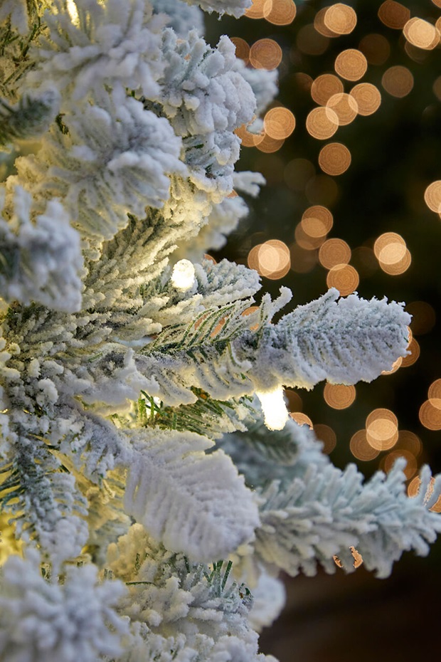 Christmas trees flocked