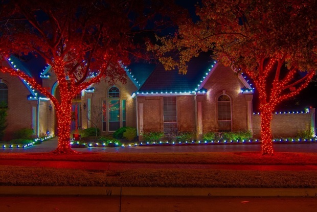 If lighting the branches of a tree, 