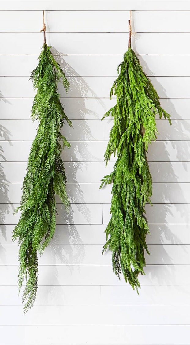 Norfolk pine garlands